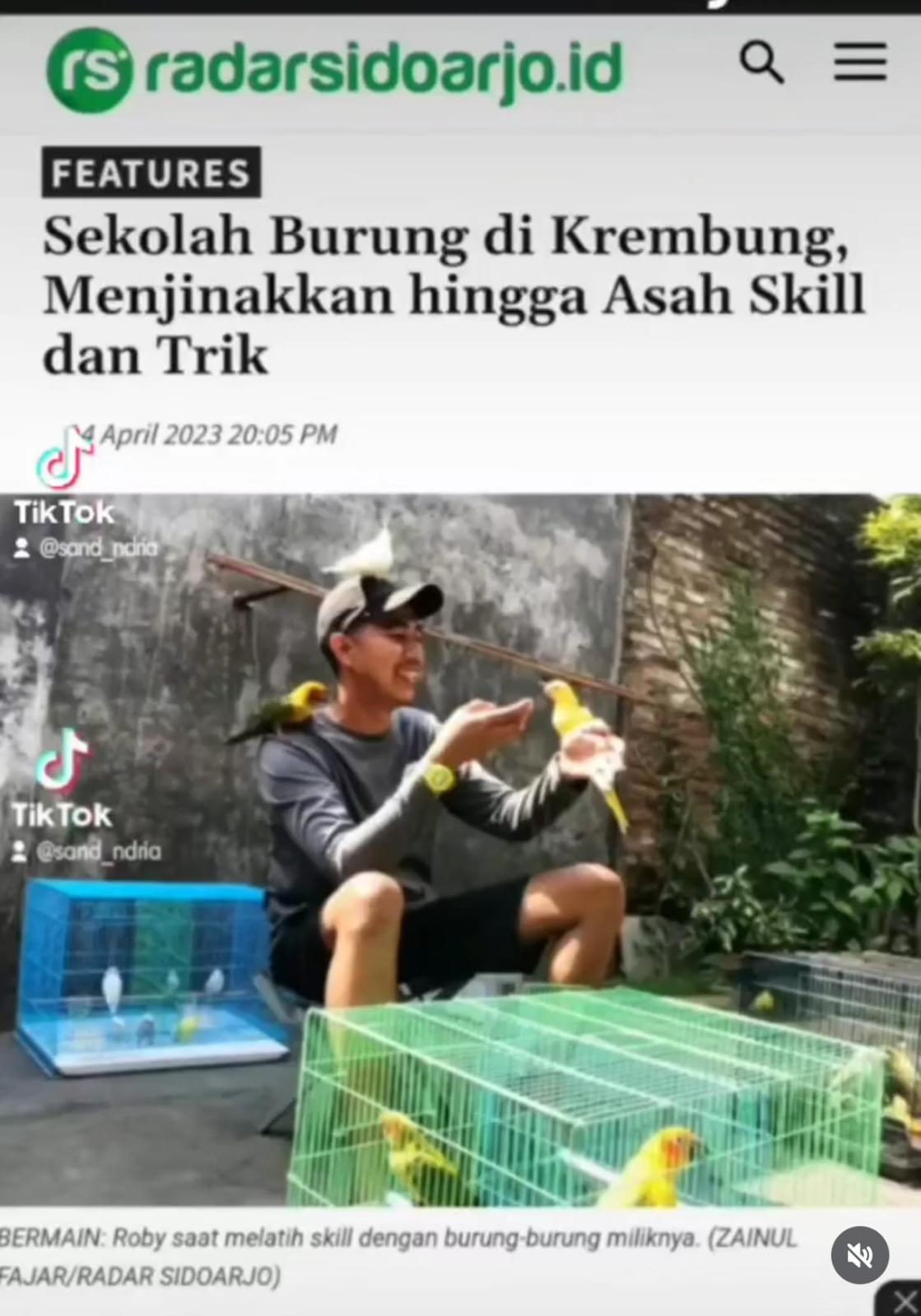 Liputan Radar Sidoarjo - SandR Bird Camp