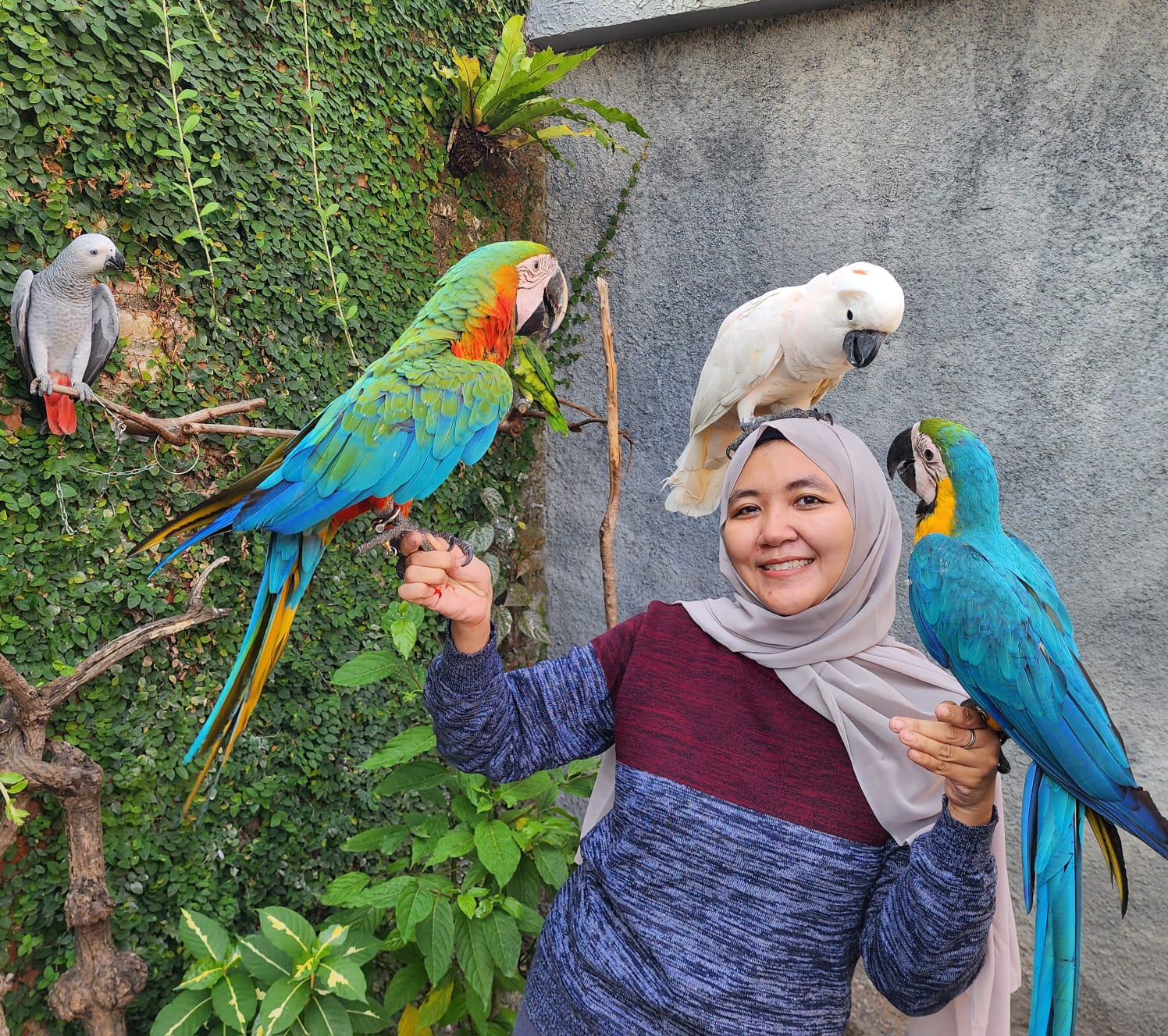 Layanan Pelatihan SandR Bird Camp